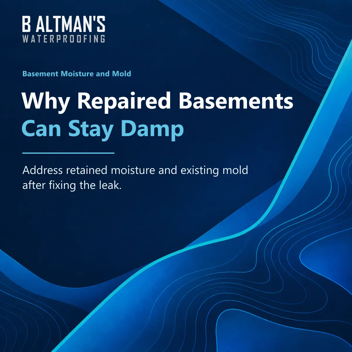 Mold Remediation Staten Island